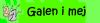Galen i mej